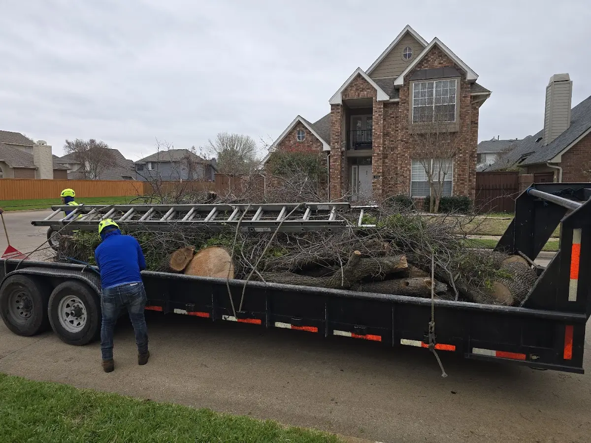 Expert Tree Fertilization with proper safety equipment in Justiceburg